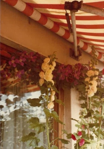 Historisches Foto - Terrasse - Margarete Schütte-Lihotzky Wohnung, Wien, Margareten