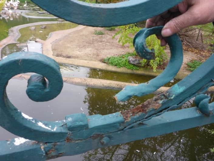 Abgebrochenes Zierblatt. Aufsatz 61. Abgebrochenes Zierblatt. Aufsatz 61.